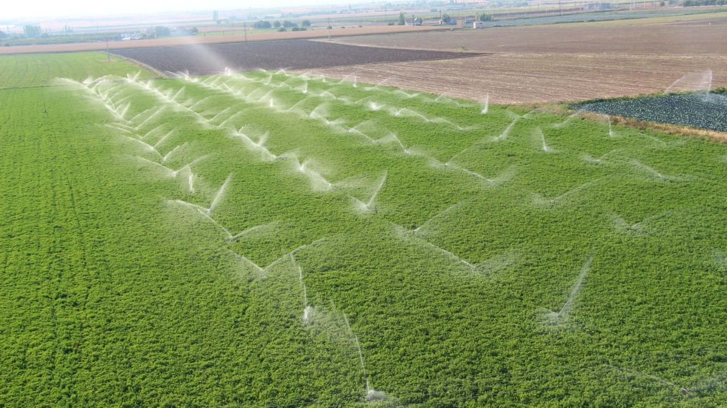 L'irrigation d'un champ.