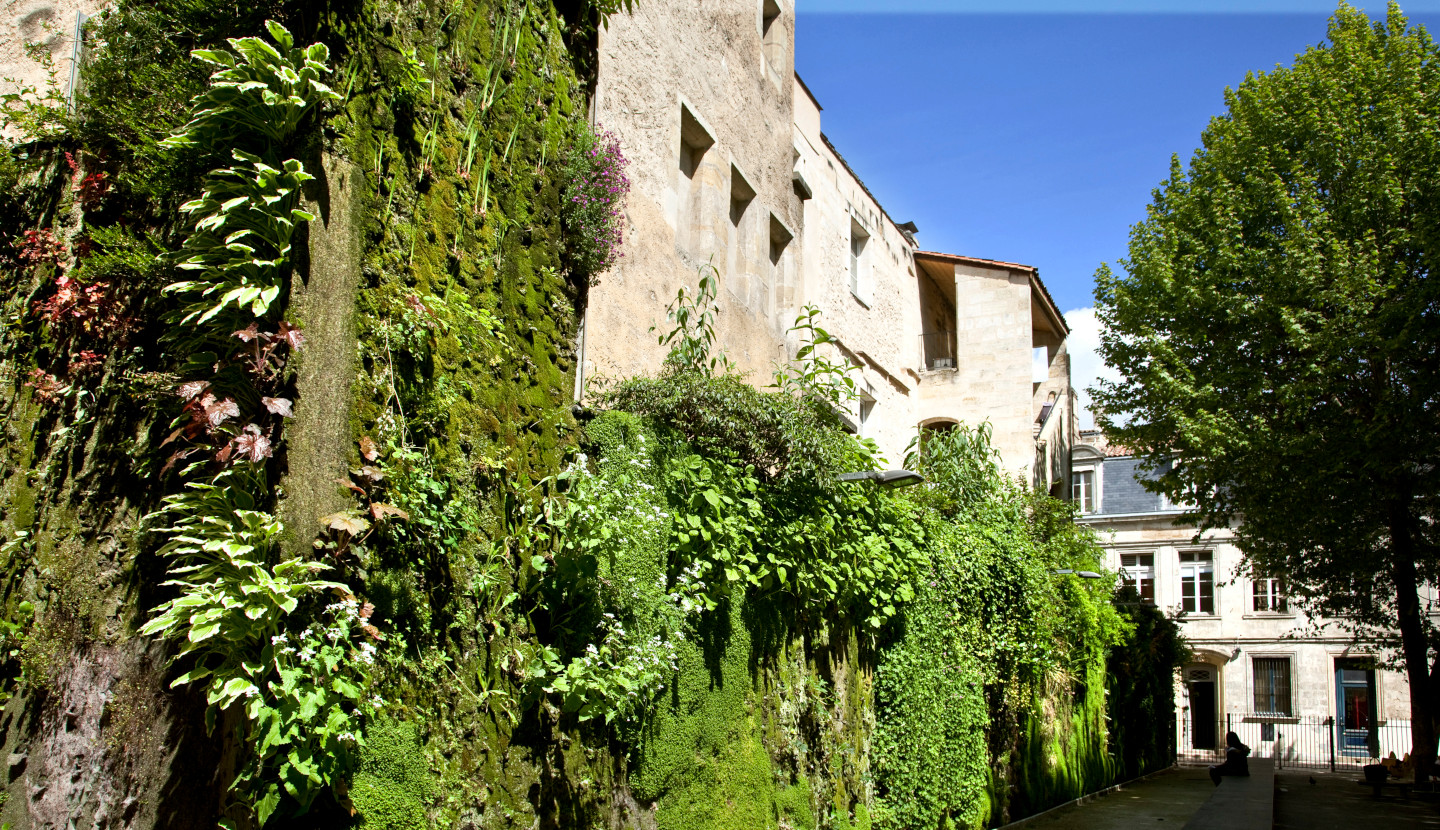 Façade végétalisée dans le centre historique de Bordeaux