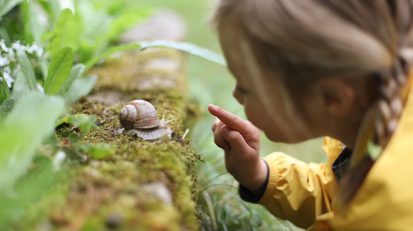 Une petite fille jouant avec un escargot