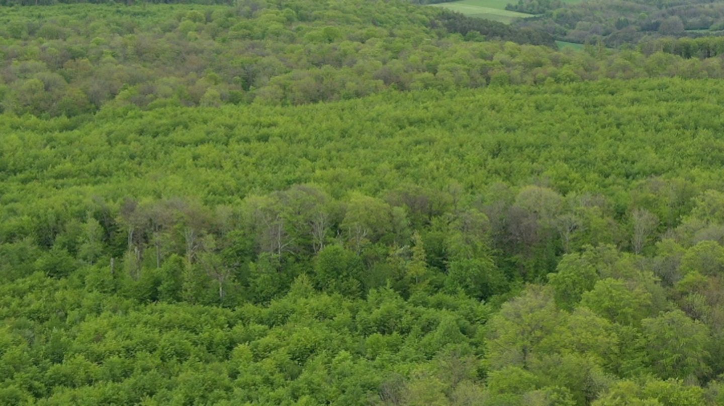 La politique de reboisement grâce aux fonds dédiés de France Relance a permis la plantation de 50 millions d'arbres.