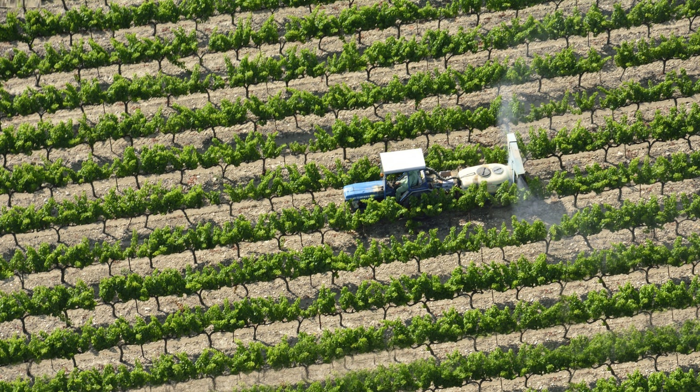 Vue aérienne d'un tracteur dans des vignes.
