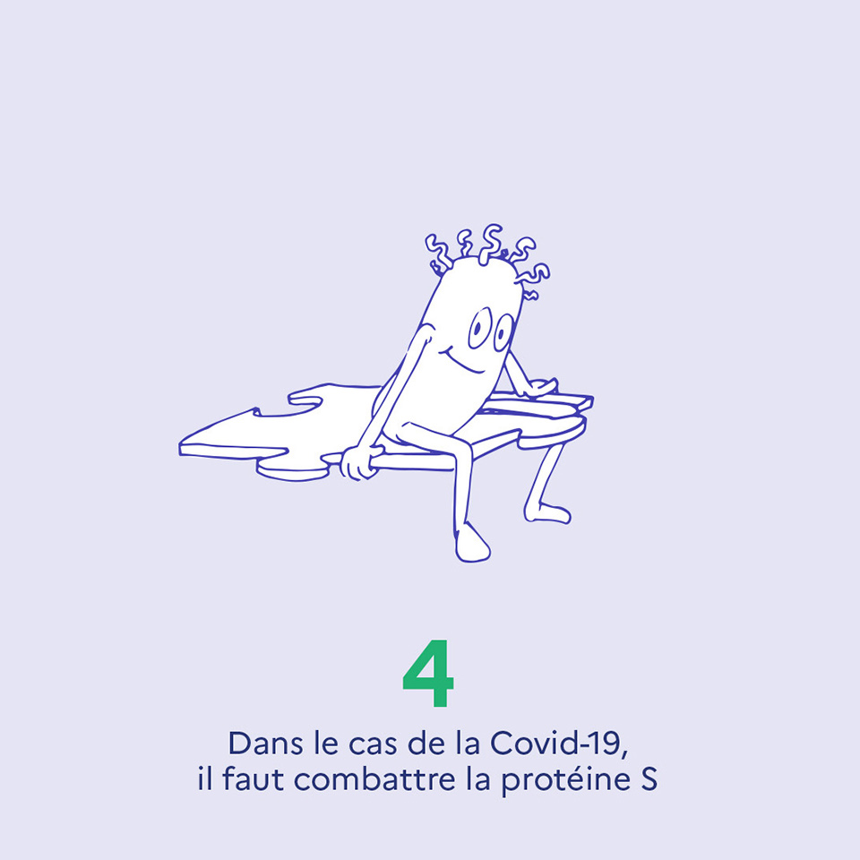 4. Dans le cas de la Covid-19, il faut combattre la protéine S