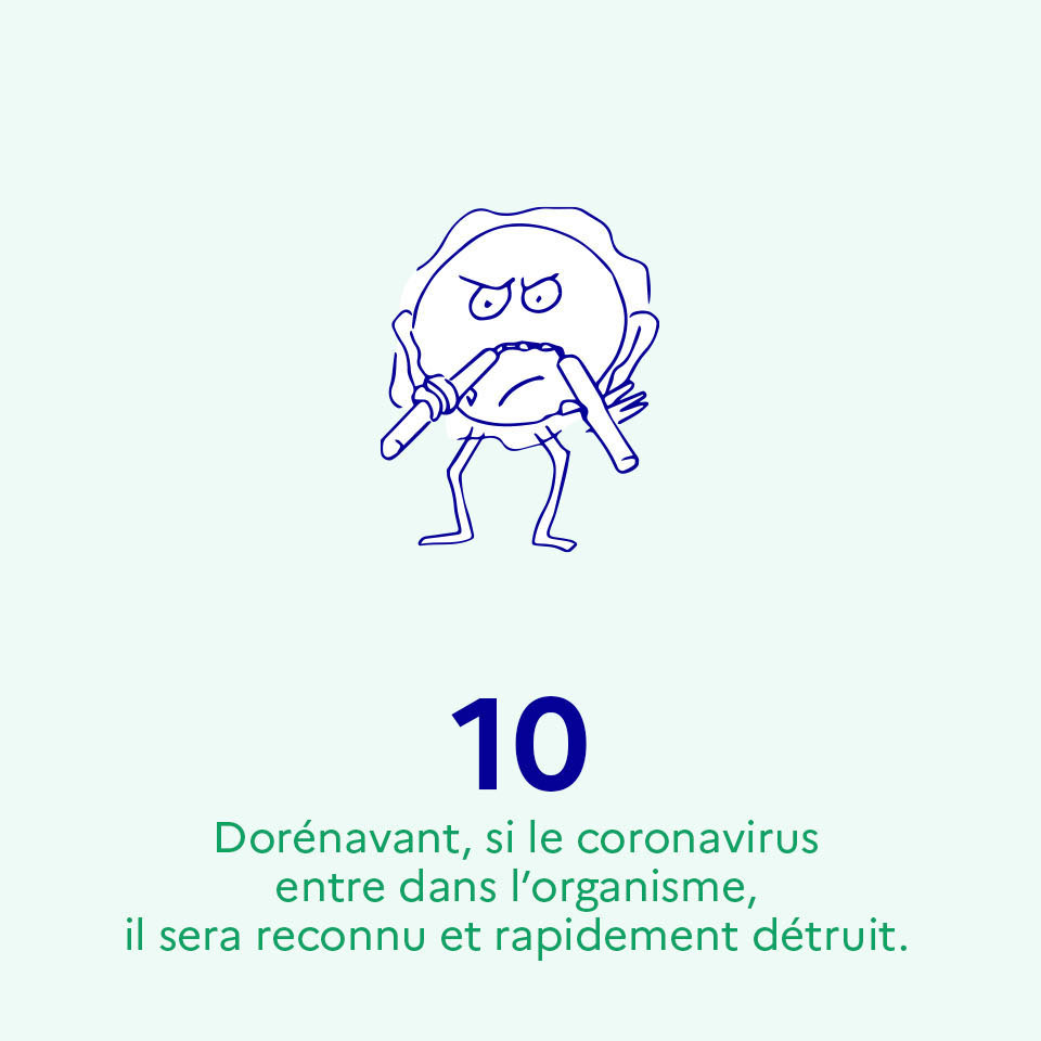 Dorénavant, si le coronavirus entre dans l’organisme, il sera reconnu et rapidement détruit