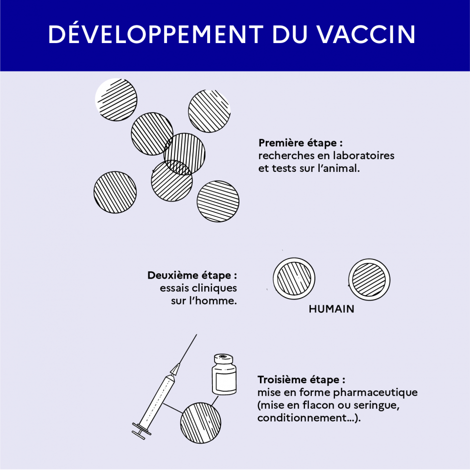 Le développement du vaccin