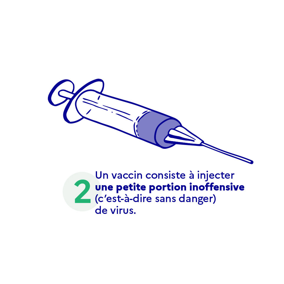 Un vaccin consiste à injecter une petite portion inoffensive (c'est-à-dire sans danger) de virus.